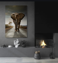 Afrikansk elefant høyformat