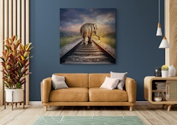 Elefant på loffen
