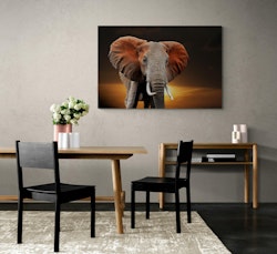 Elefant i solnedgang