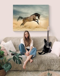 Wild Stallion