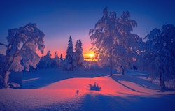 Kald Vinter