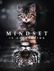 Cat Reflection