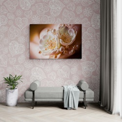 Hvite Blomster