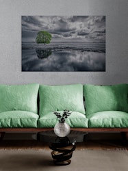 A Green Tree