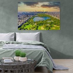 Central Park Skyline