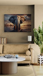 Elephant In River