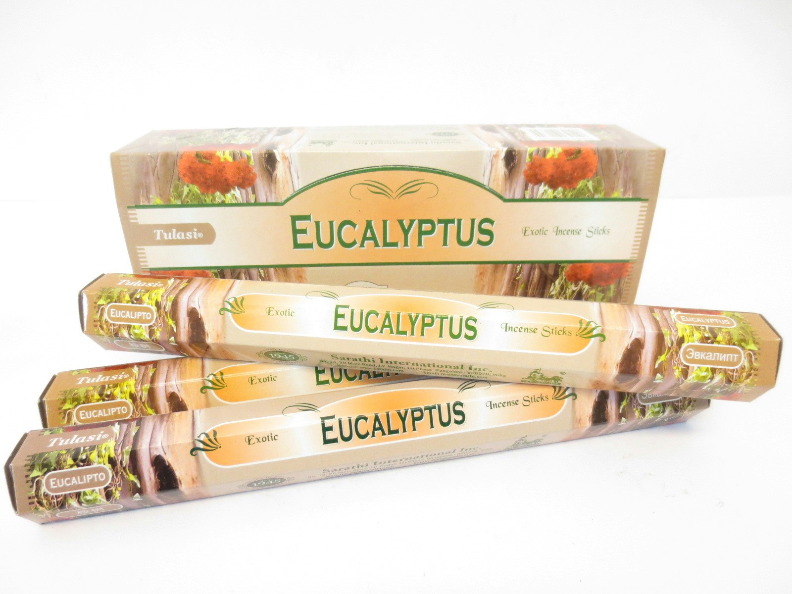 Eukalyptus (Tulasi)