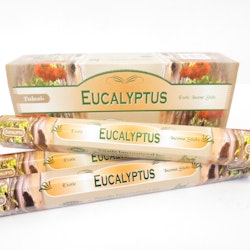 Eukalyptus (Tulasi)