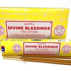 Divine Blessings (Satya)