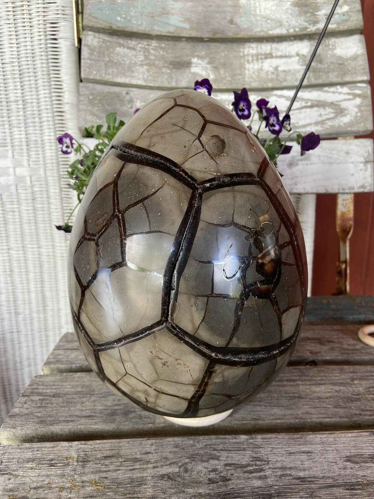 Drakägg XXXXL (Septarian)