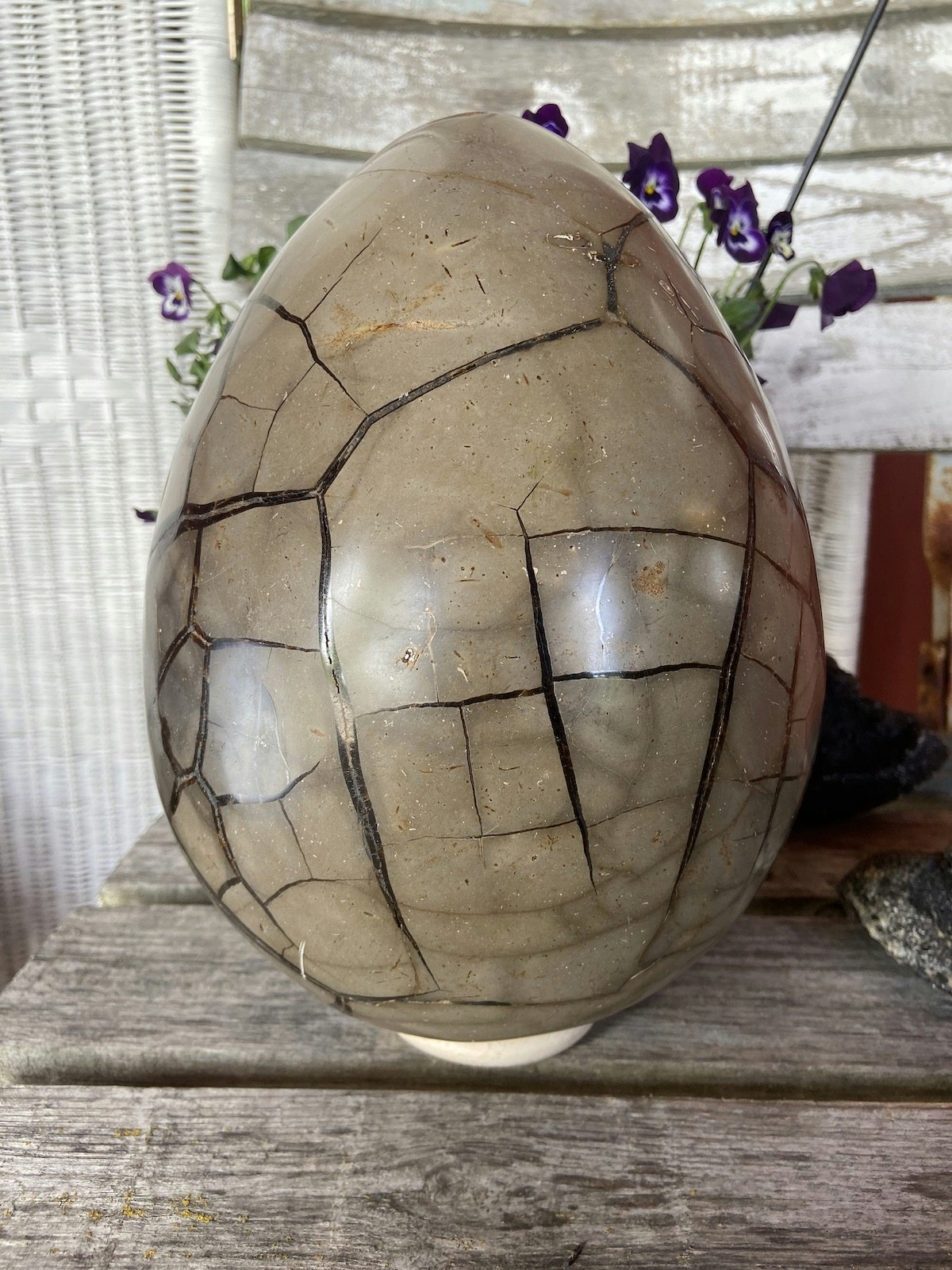 Drakägg XXXXL (Septarian)