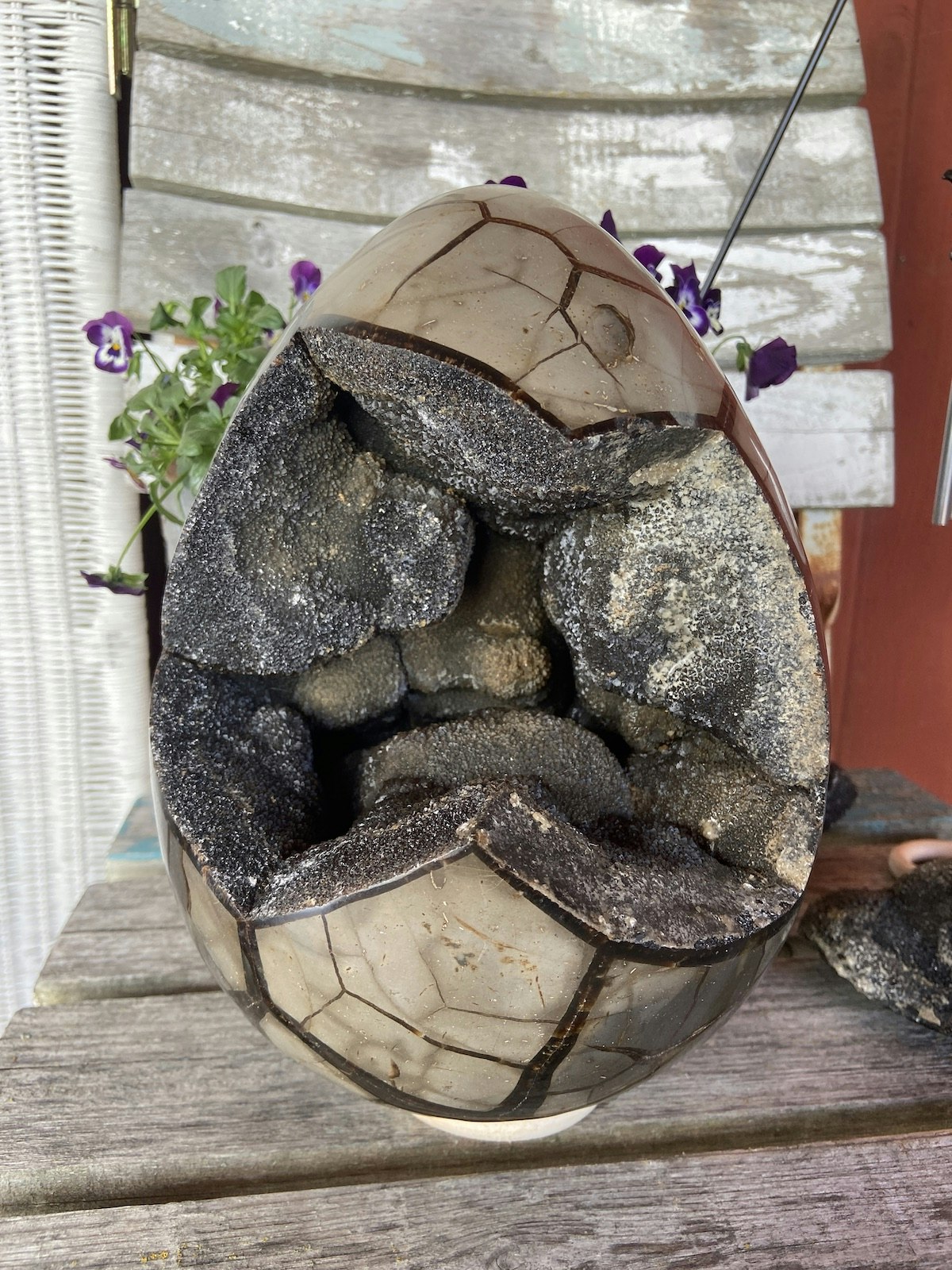 Drakägg XXXXL (Septarian)