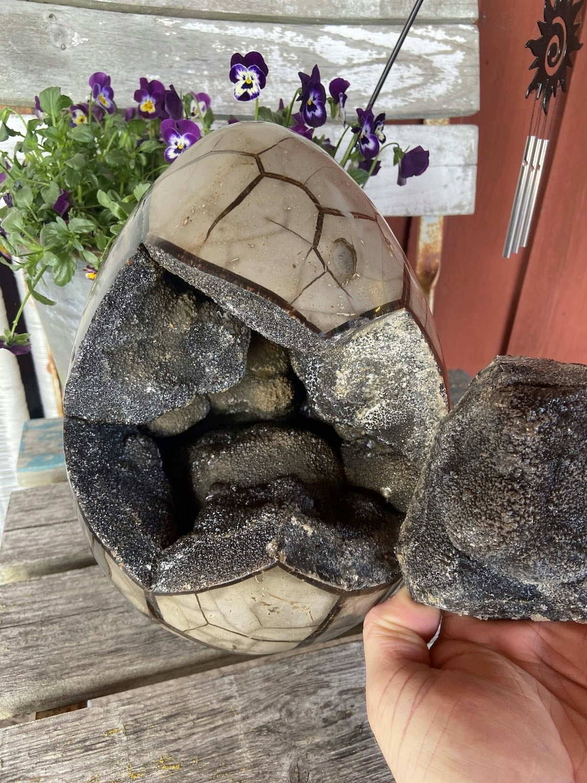 Drakägg XXXXL (Septarian)