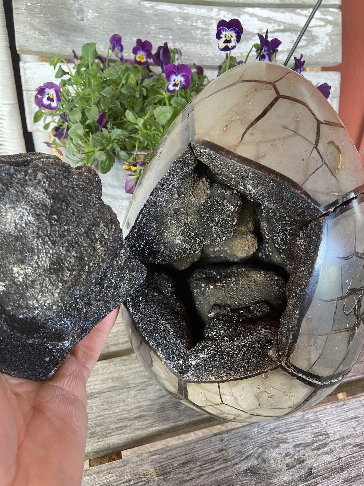 Drakägg XXXXL (Septarian)