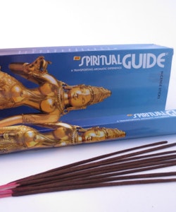Spiritual Guide Blue (Padmini)