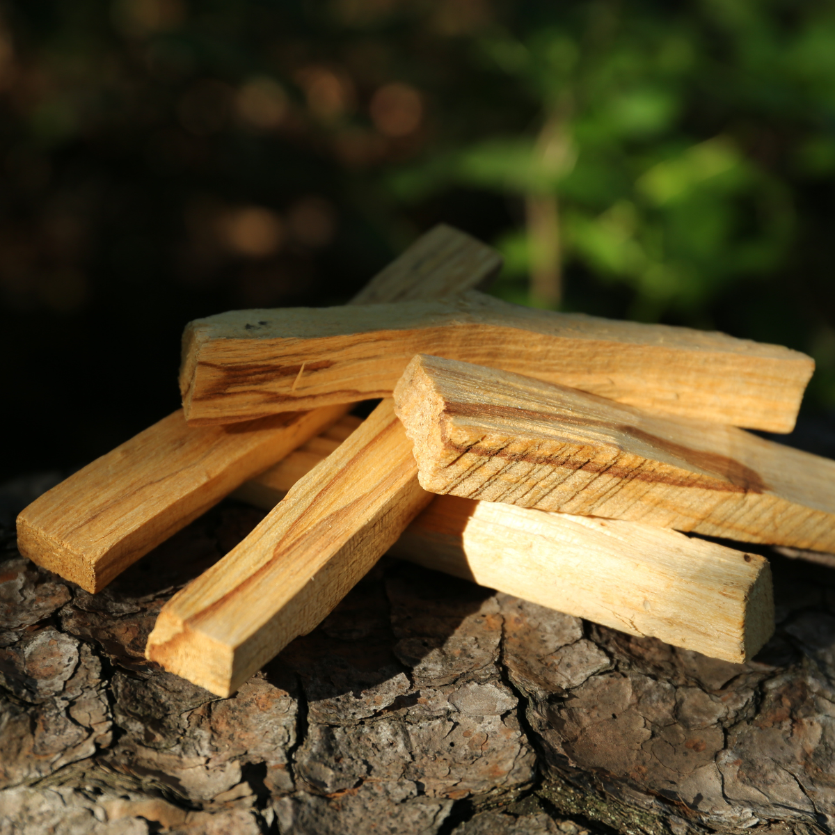 Palo santo, naturlig rökelse (40 g)