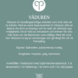 Stjärnteckenskit Väduren