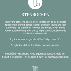 Stjärnteckenskit Stenbocken