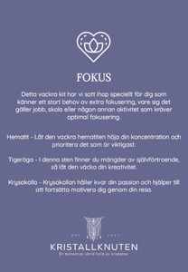 Kit Fokus