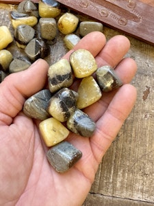 Septarian, trumlad
