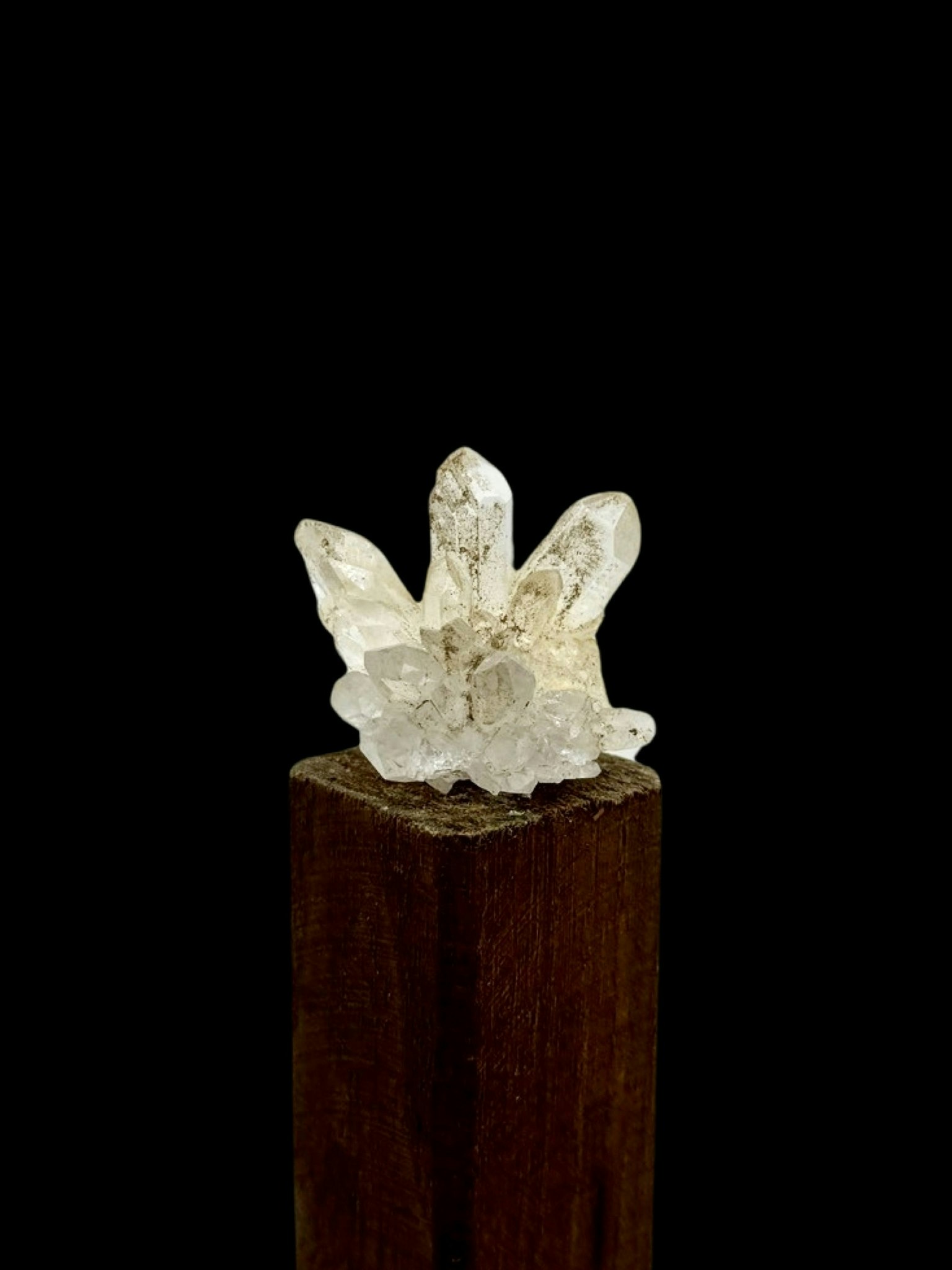 Kluster Lemurian bergkristall