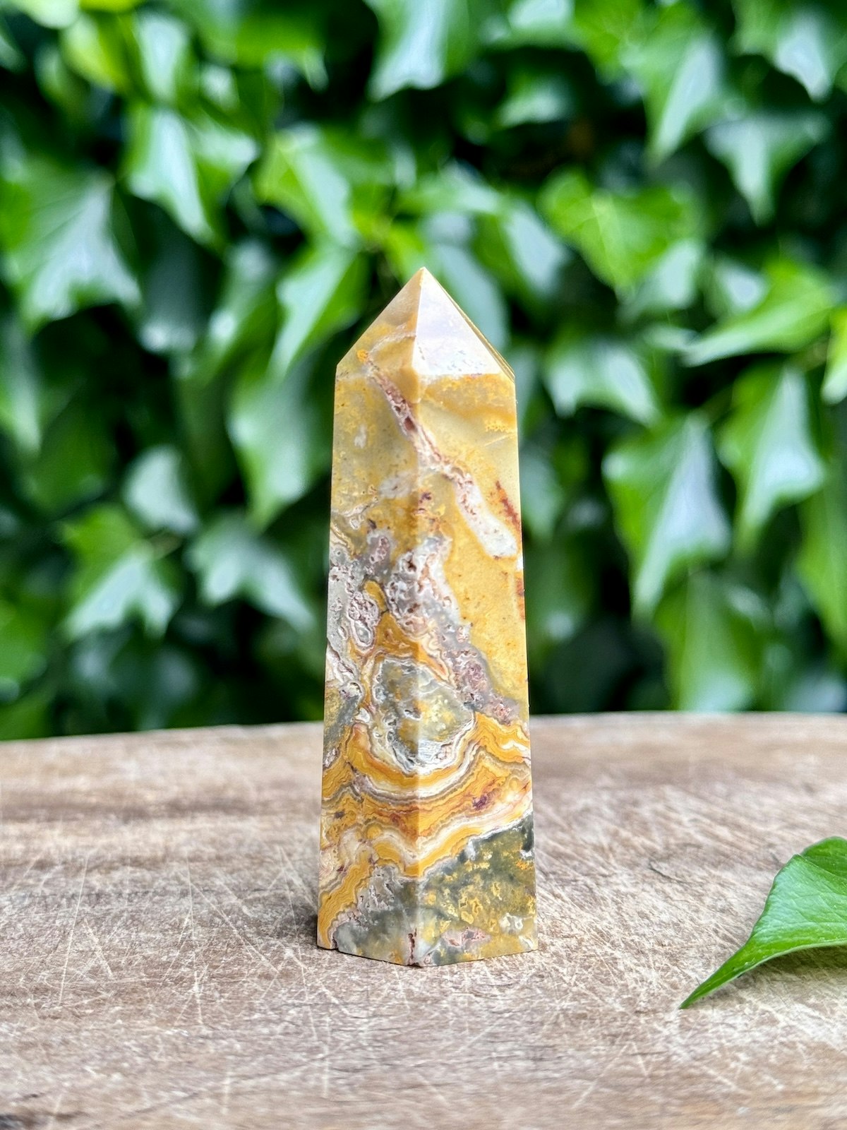 Torn Crazy Lace agat