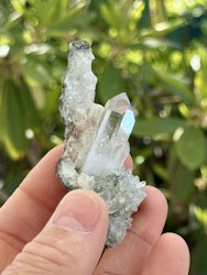 Kluster Bergkristall med Apofyllit (Brandberg) AAA-kvalitet
