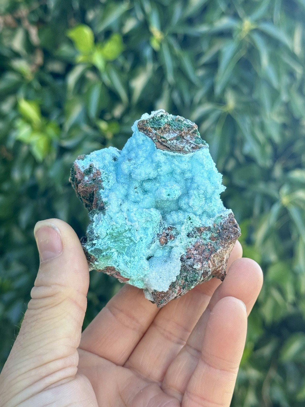 Krysokolla och Dolomit täckt av druzy bergkristall, AAA-kvalitet