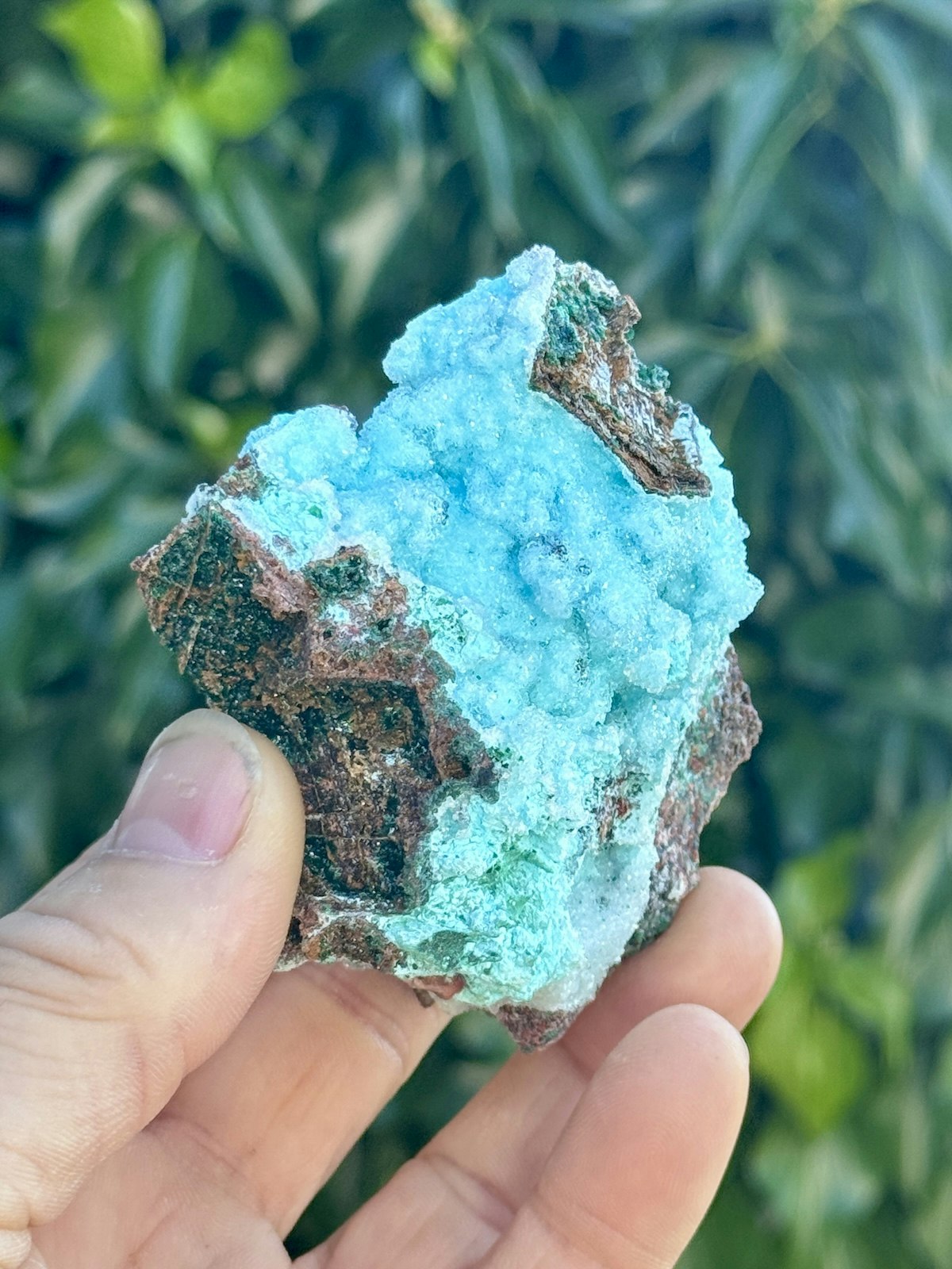 Krysokolla och Dolomit täckt av druzy bergkristall, AAA-kvalitet