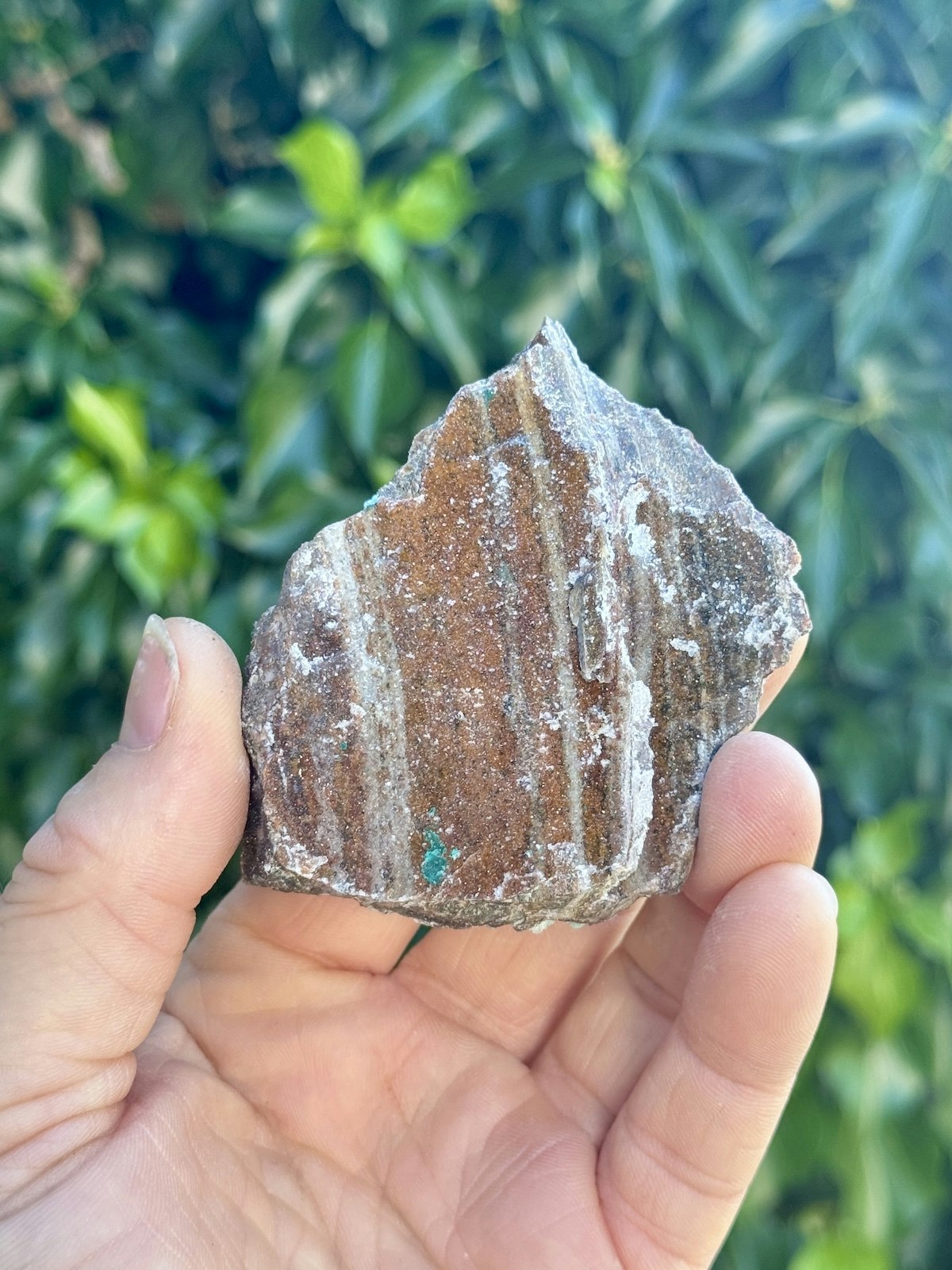 Krysokolla och Dolomit täckt av druzy bergkristall, AAA-kvalitet