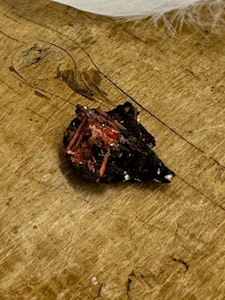 Crocoite