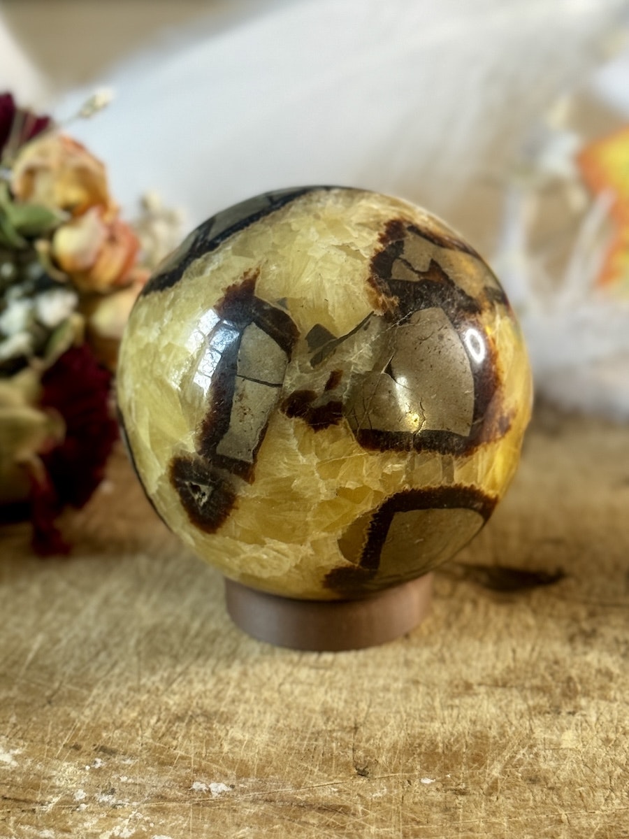 Klot Septarian XL