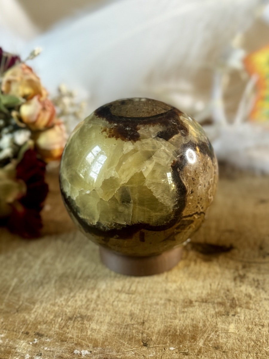 Klot Septarian XL