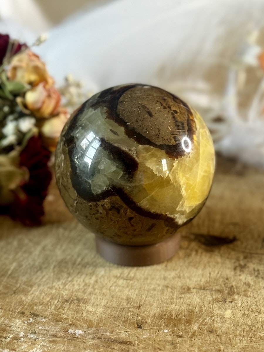 Klot Septarian XL