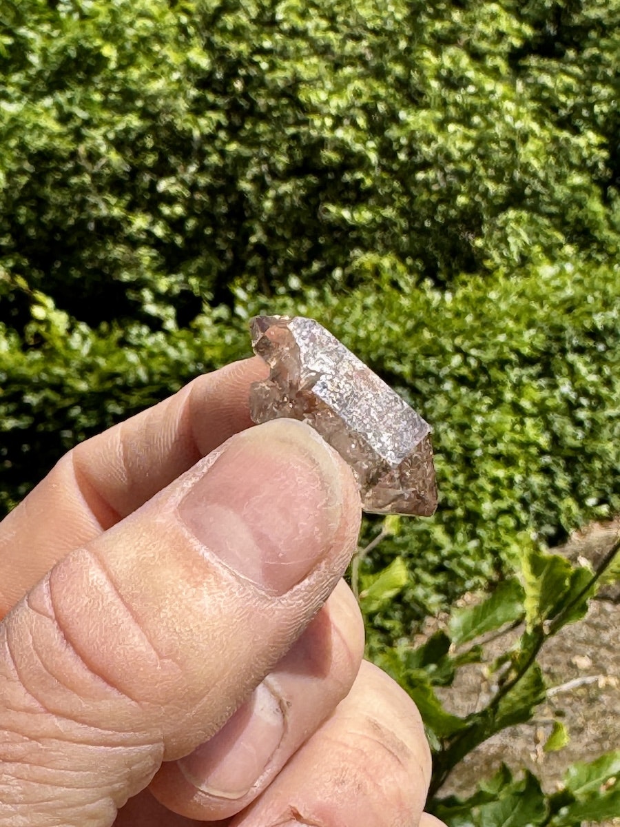 Spets Rökkvarts Enhydro (Brandberg) AAA-kvalitet