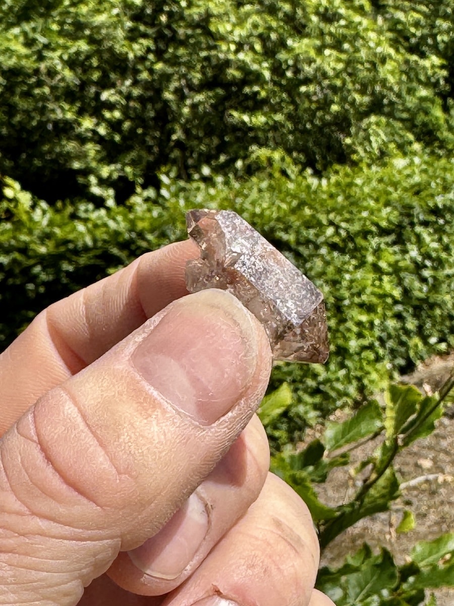 Spets Rökkvarts Enhydro (Brandberg) AAA-kvalitet