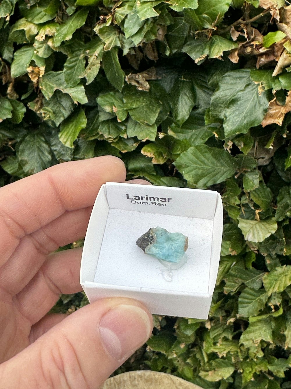 Larimar, rå AAA-kvalitet