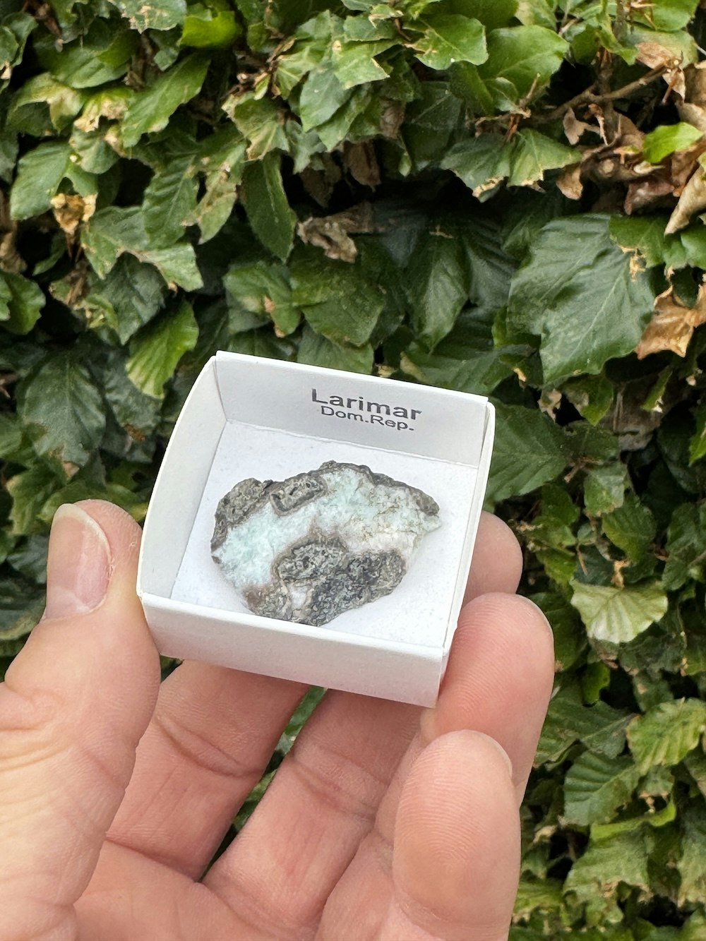 Larimar, rå AAA-kvalitet