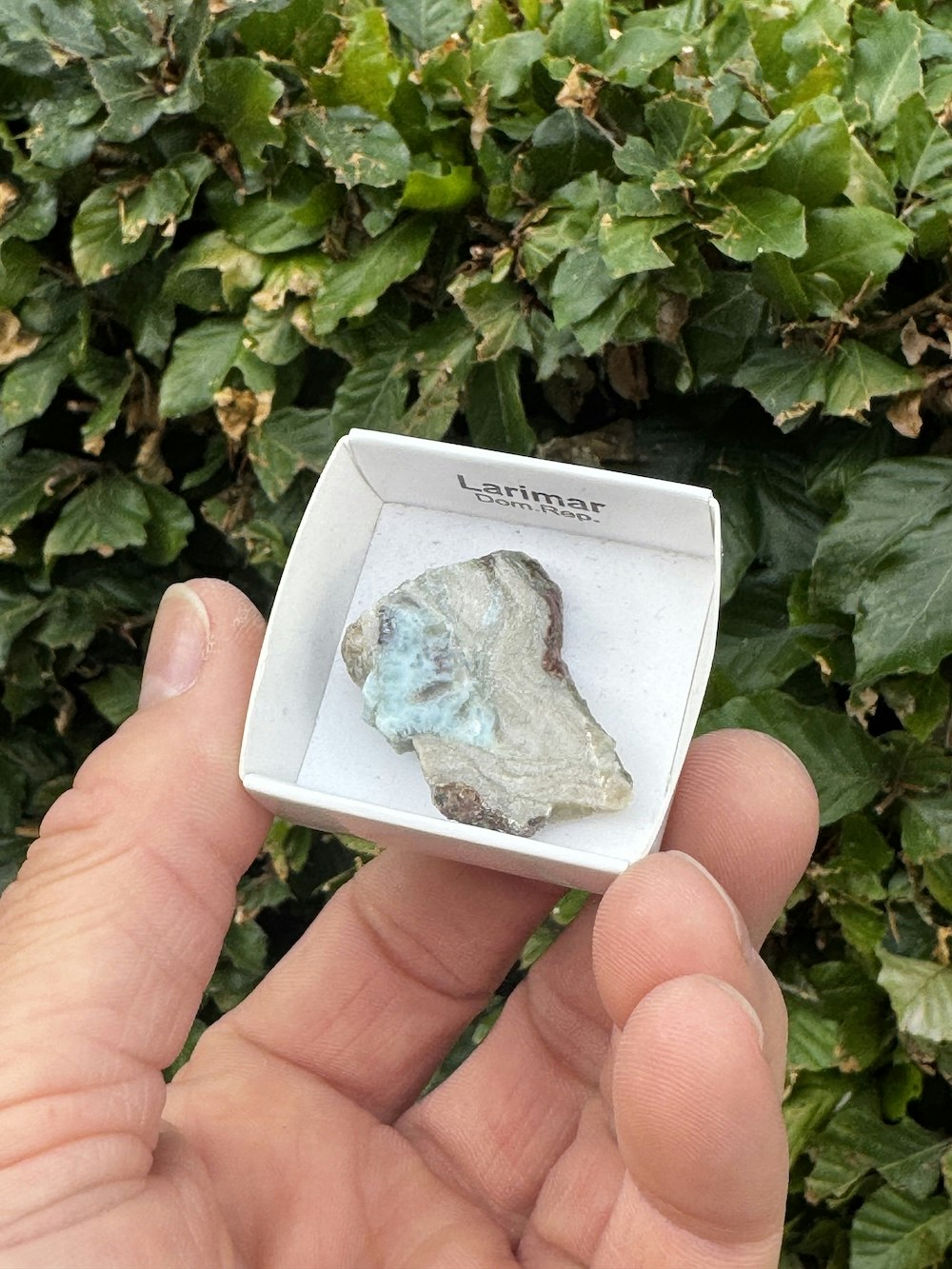 Larimar, rå AAA-kvalitet