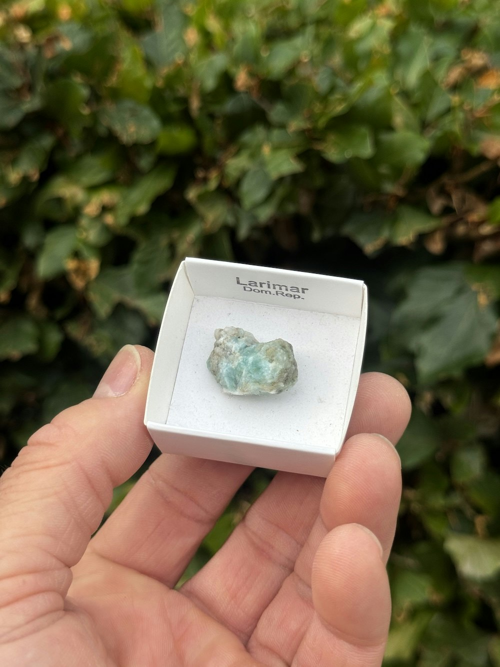 Larimar, rå AAA-kvalitet