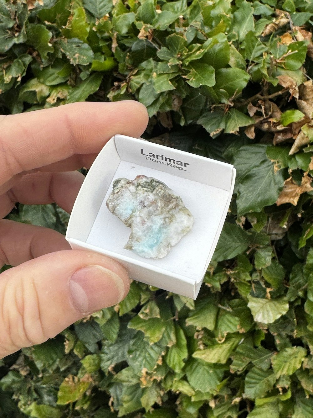 Larimar, rå AAA-kvalitet