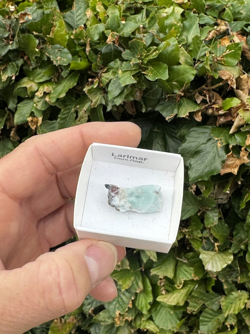 Larimar, rå AAA-kvalitet