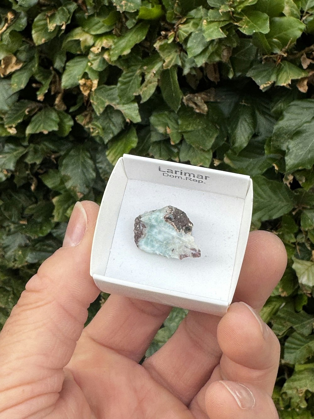 Larimar, rå AAA-kvalitet