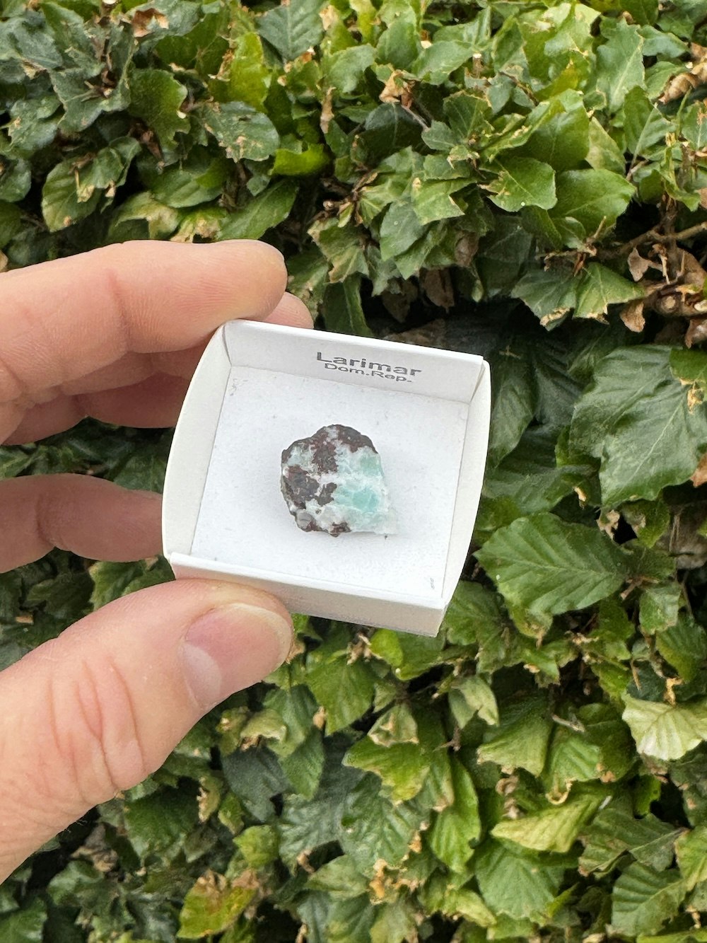 Larimar, rå AAA-kvalitet