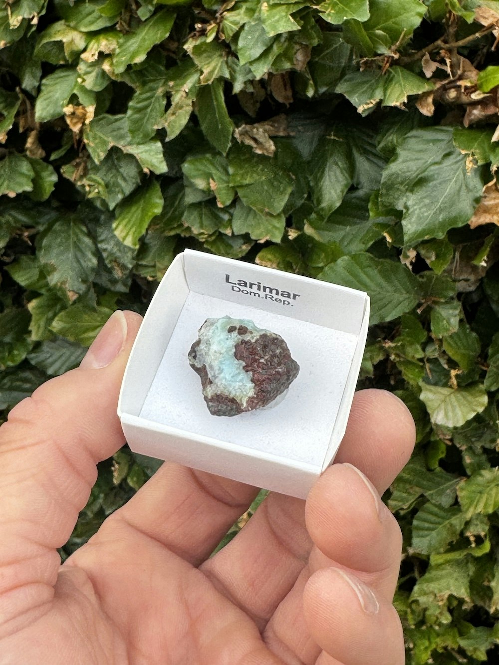 Larimar, rå AAA-kvalitet