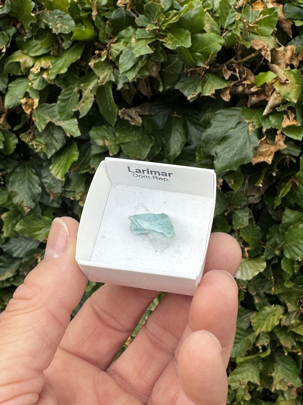 Larimar, rå AAA-kvalitet