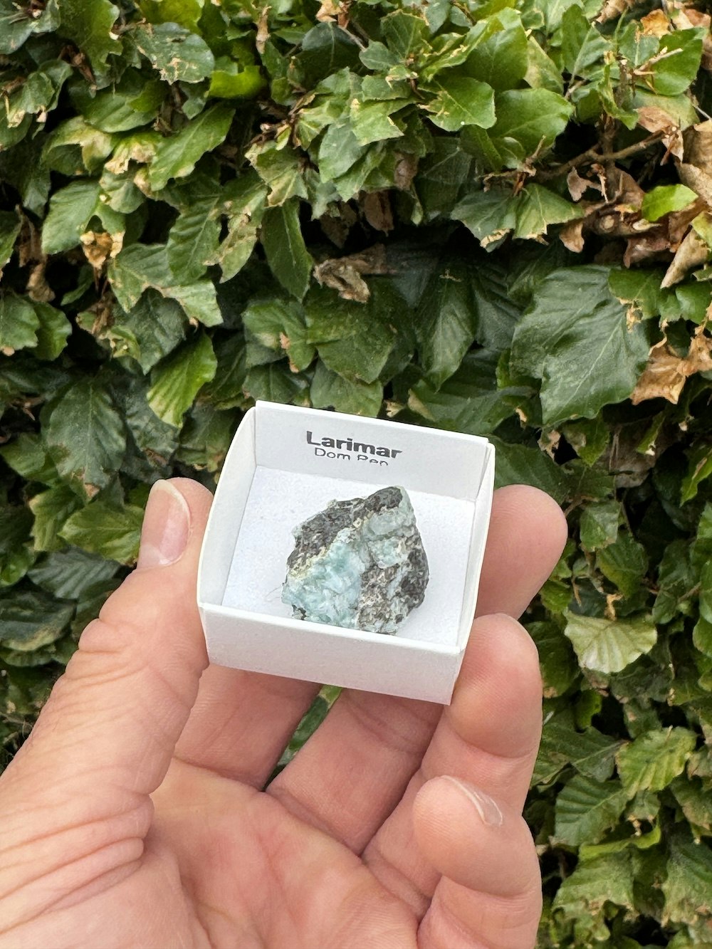 Larimar, rå AAA-kvalitet