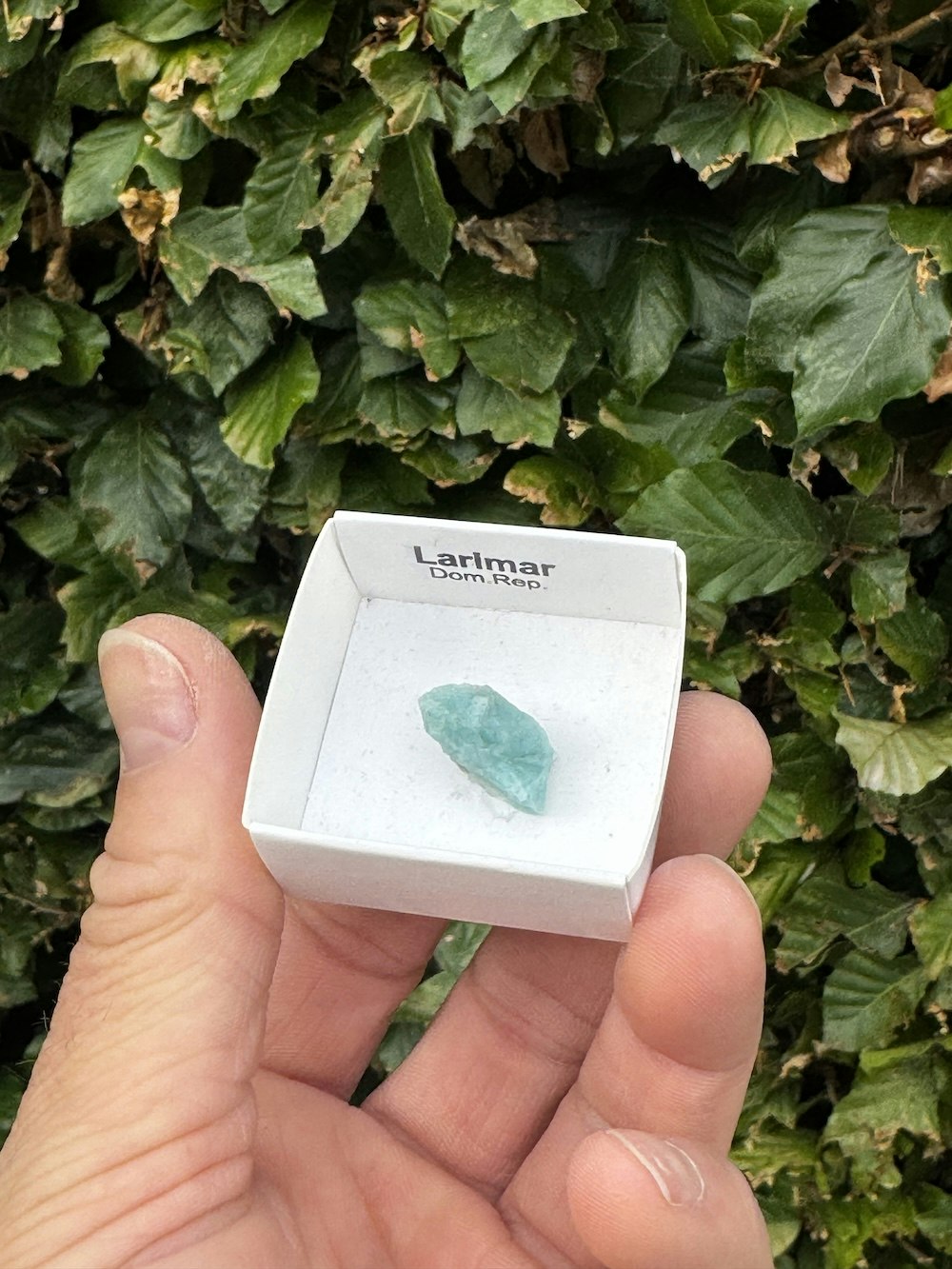 Larimar, rå AAA-kvalitet