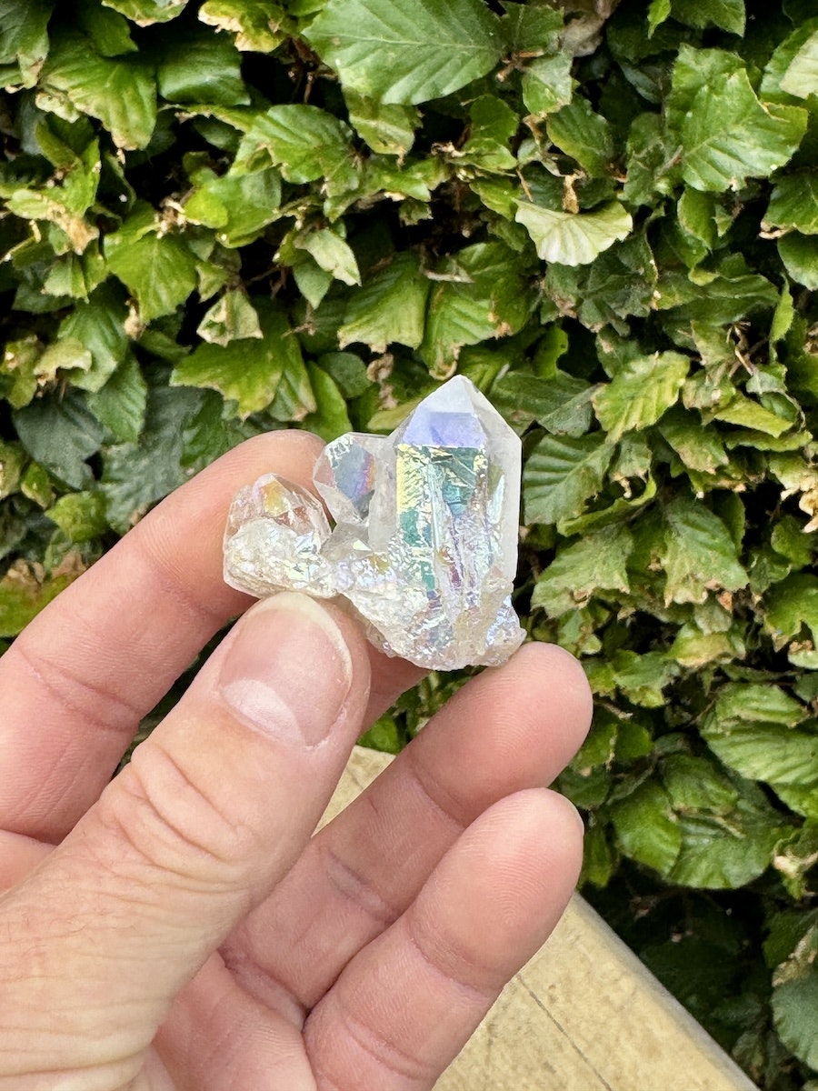 Kluster Angel Aura