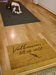 Personlig Dörrmatta